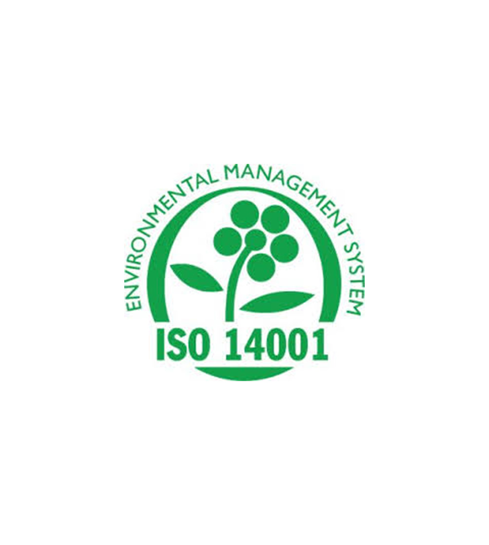 Office Expansion, Launches, Eco-friendly Certification